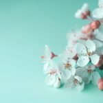 龙8游戏平台:如何在娱乐中赢取丰厚奖励 0pjte4u2c