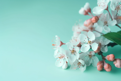 龙8游戏平台:如何在娱乐中赢取丰厚奖励 龙8游戏平台:如何在娱乐中赢取丰厚奖励