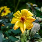 森林舞会电玩城:带你体验最刺激的游戏冒险之旅 9byh6v