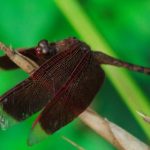 鸿博国际平台:探索全球在线娱乐的新选择与机遇 hnqxgw7y