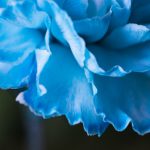 最新版乐虎国际app下载指南与功能介绍 idbaipi1