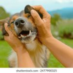 永乐国际:探索全球娱乐与休闲的新高地 j3qbr52on5