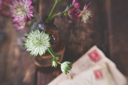 最新真钱棋牌手机版app下载:尽享刺激与乐趣的游戏世界 最新真钱棋牌手机版app下载:尽享刺激与乐趣的游戏世界