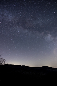 永乐国际登录网站的特色服务与用户体验分析 永乐国际登录网站的特色服务与用户体验分析