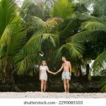 鸿运赌场网址的安全性与用户体验全面解析 q6sm5o5