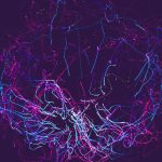 杰克棋牌唯一官网的魅力:带你领略棋牌竞技的乐趣 zt3qy8